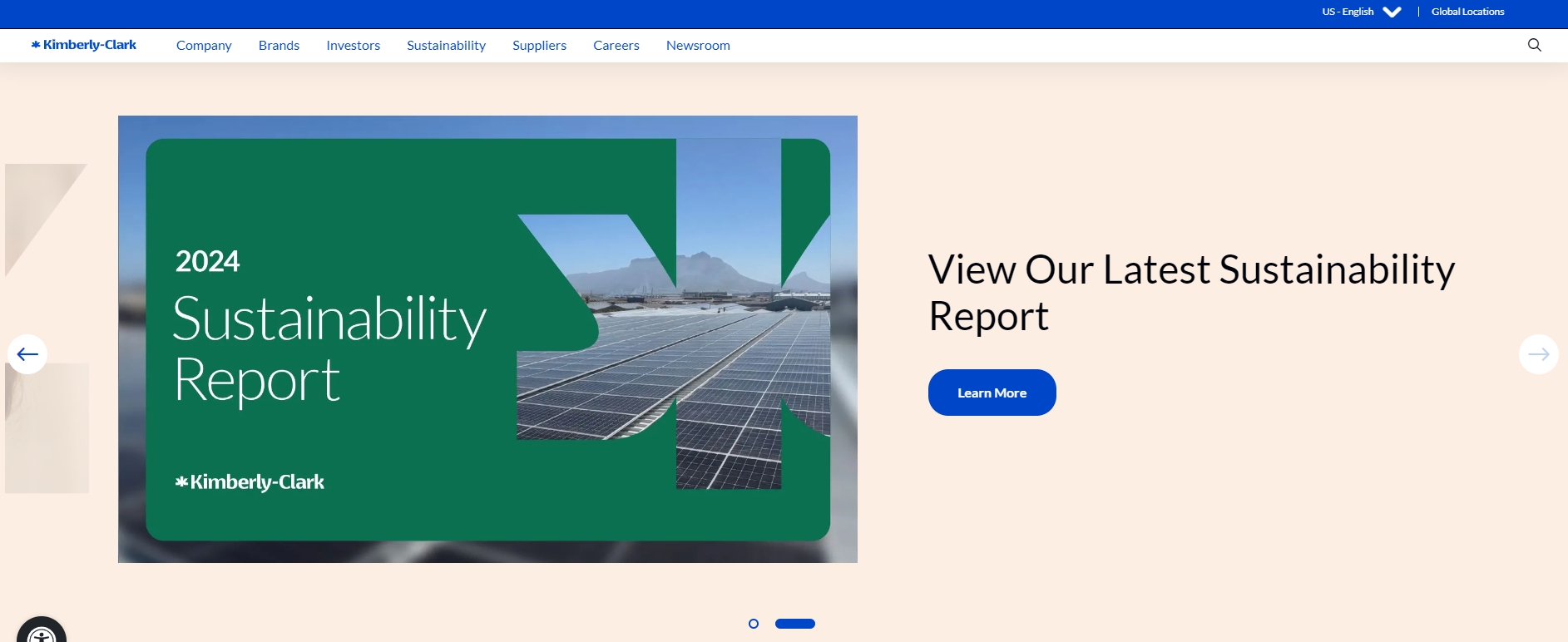 Kimberly-Clark Corporation (USA)